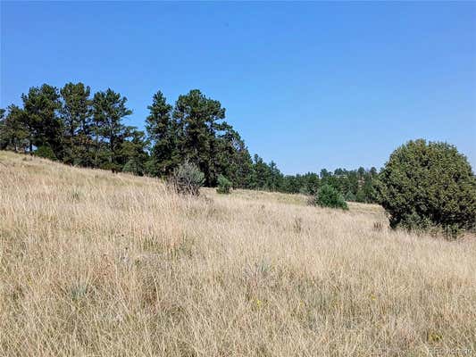 16550 PRIVATE ROAD 146 # PARCEL, KIOWA, CO 80117, photo 3 of 10