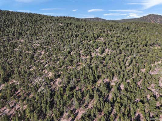 INDIANA GULCH ROAD, WARD, CO 80481, photo 4 of 29