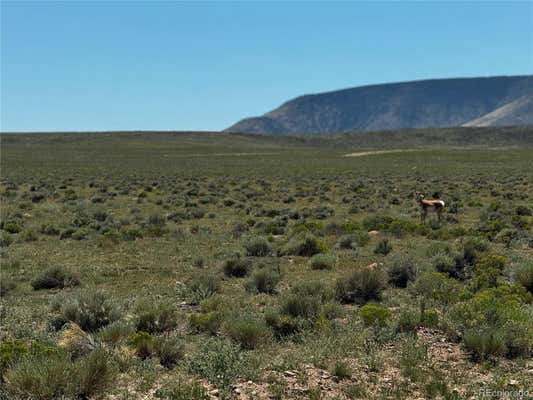 LOT 18 RUSS ROAD, SAN LUIS, CO 81152, photo 2 of 5