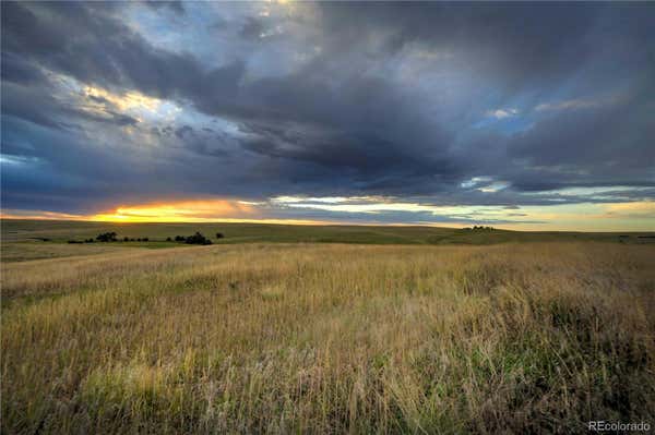 LOT 11 LAST DART ROAD, KIOWA, CO 80117 - Image 1