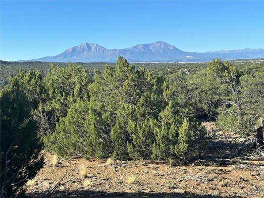 LOT 12 CITY RANCH PROPERTY, WALSENBURG, CO 81089 - Image 1