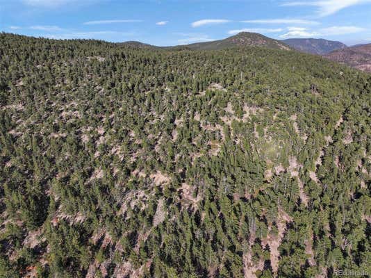 INDIANA GULCH ROAD, WARD, CO 80481, photo 3 of 29