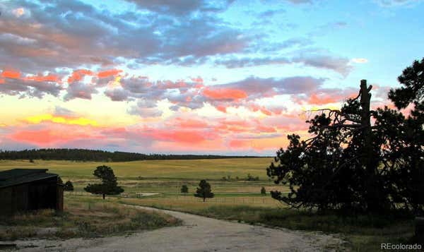 21873 COUGAR CT, ELBERT, CO 80106, photo 4 of 27