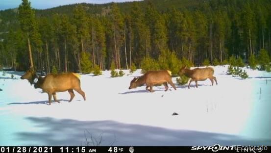 Black Hawk, Colorado, 80422, United States, 3 Bedrooms Bedrooms, ,1 BathroomBathrooms,Residential,Active,1945263