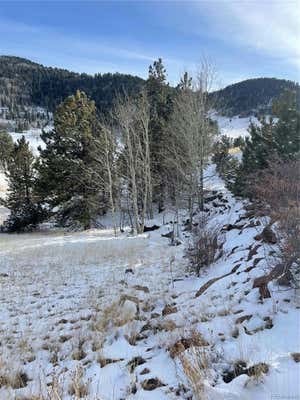 902 COPPER MOUNTAIN DR, CRIPPLE CREEK, CO 80813 - Image 1