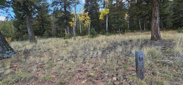 54 GARNET LN, PINE, CO 80470 - Image 1