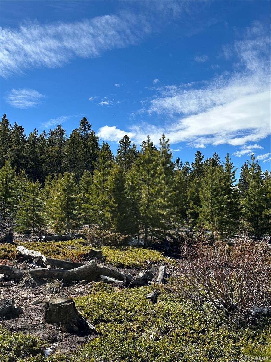 Black Hawk, Colorado, 80422, United States, 3 Bedrooms Bedrooms, ,1 BathroomBathrooms,Residential,Active,1945263