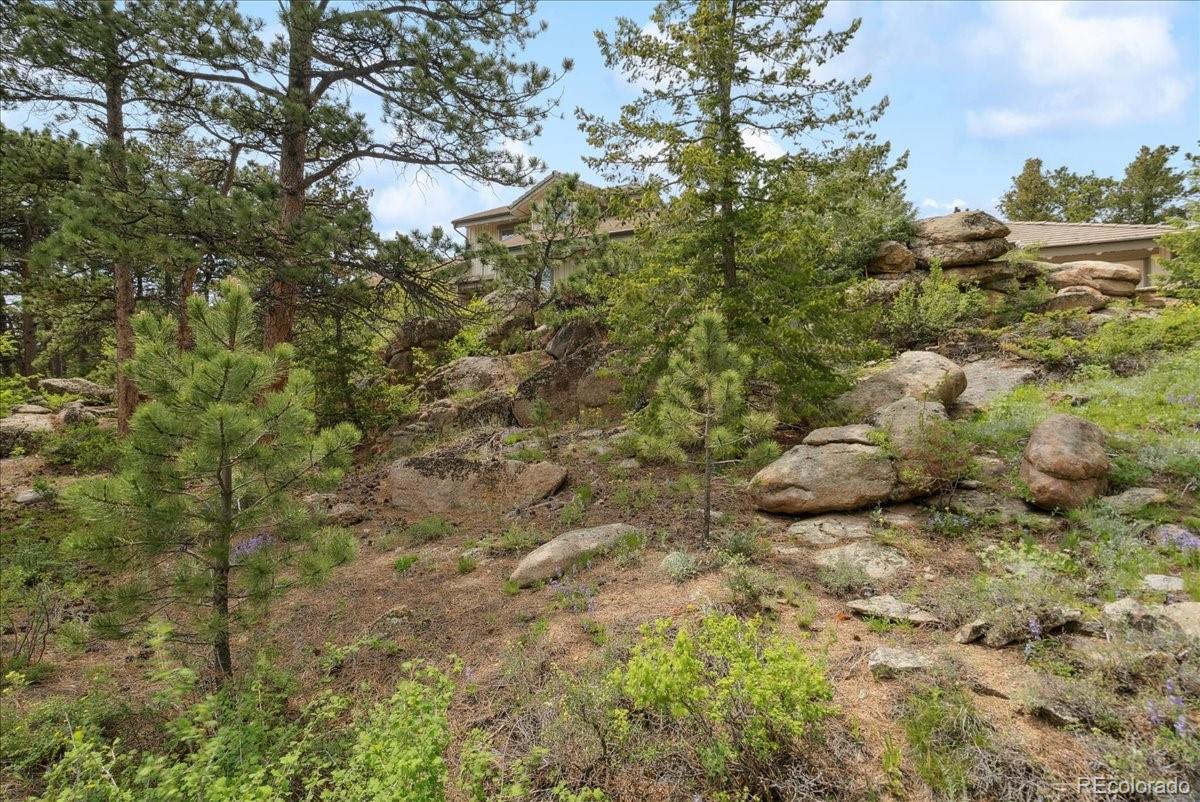 Red Feather Lakes, Colorado, 80545, United States, 4 Bedrooms Bedrooms, ,5 BathroomsBathrooms,Residential,Active,2011885