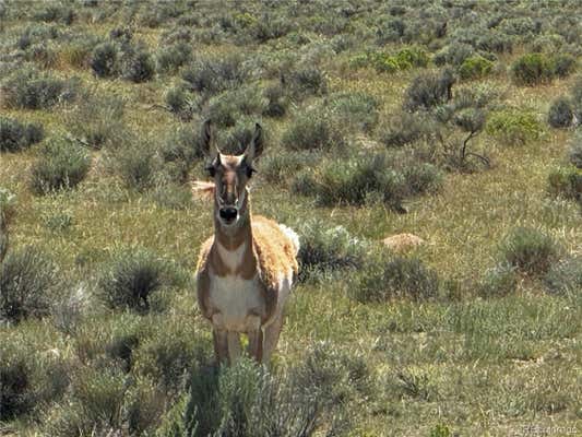 LOT 18 RUSS ROAD, SAN LUIS, CO 81152, photo 4 of 5