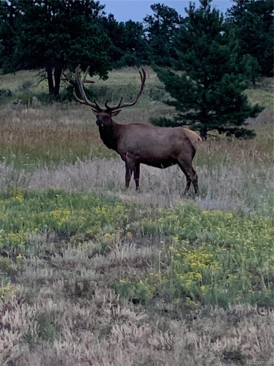 Morrison, Colorado, 80454, United States, ,5 BathroomsBathrooms,Residential,Active,1900411