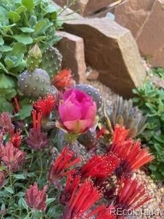 Boulder, Colorado, 80304, United States, 5 Bedrooms Bedrooms, ,4 BathroomsBathrooms,Residential,Active,1998570