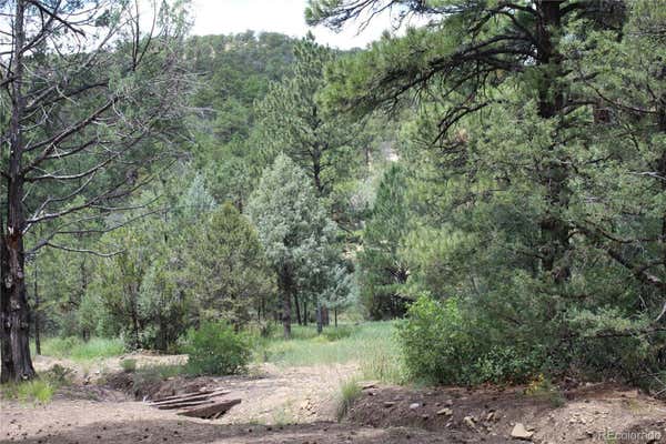 8001 PAVO CANYON TRAIL, TRINIDAD, CO 81082 - Image 1