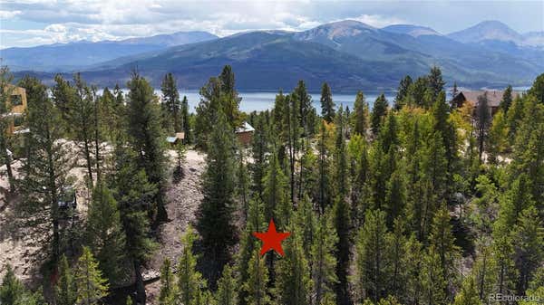 66 PARRY PEAK DR, TWIN LAKES, CO 81251 - Image 1