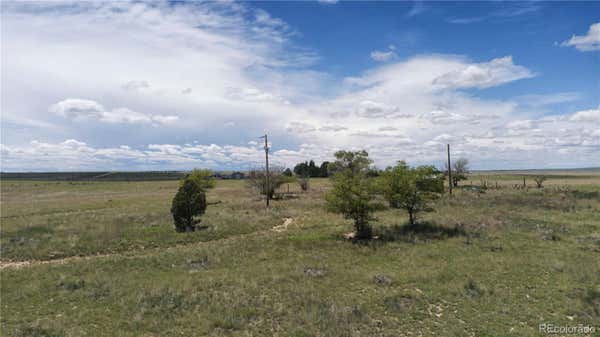 39320 TRUCKTON RD, RUSH, CO 80833 - Image 1