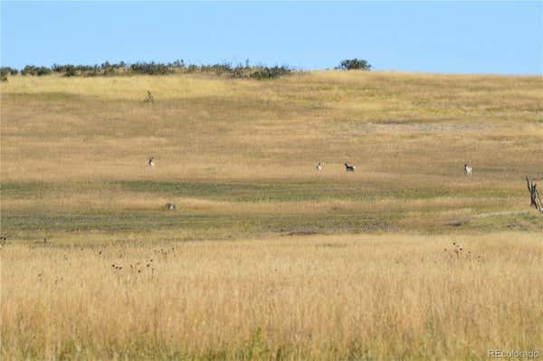 00 THACKER ROAD, RYE, CO 81069, photo 3 of 25