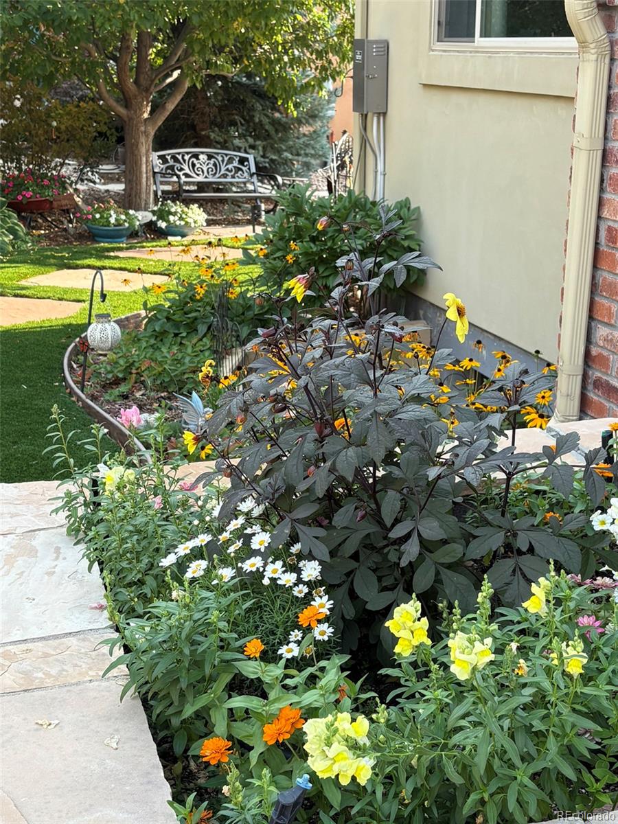 Centennial, Colorado, 80121, United States, 4 Bedrooms Bedrooms, ,4 BathroomsBathrooms,Residential,Active,1972181