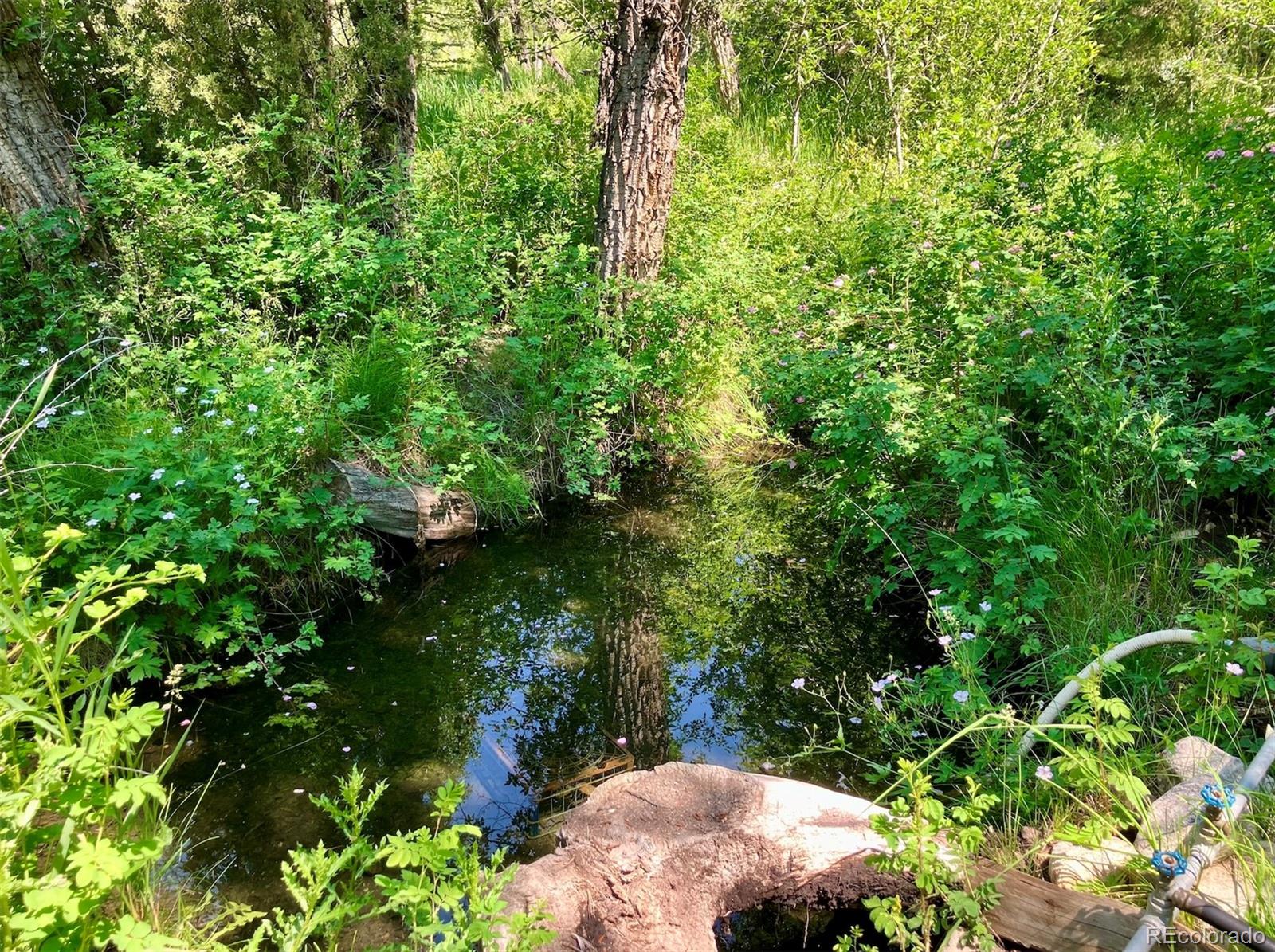 Silverthorne, Colorado, 80498, United States, ,3 BathroomsBathrooms,Residential,Active,1769500