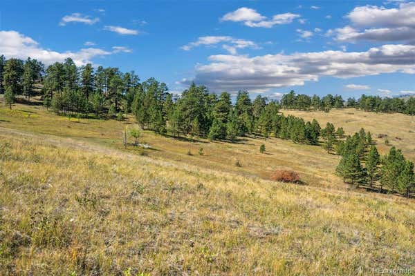 491 SNOW TOP DR, DRAKE, CO 80515, photo 3 of 17