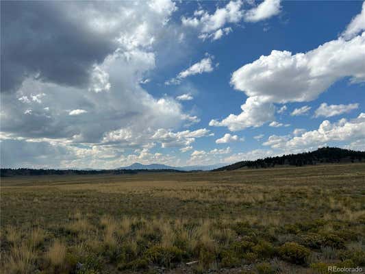 10055 COUNTY ROAD 53, HARTSEL, CO 80449 - Image 1