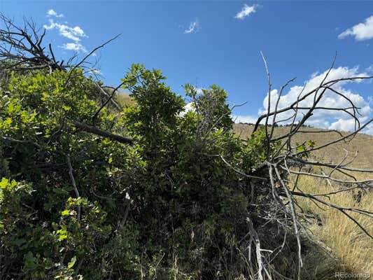 0 25TH TRAIL, COTOPAXI, CO 81223, photo 5 of 27