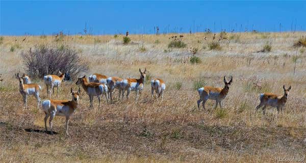 LOT 5 LAST DART ROAD, KIOWA, CO 80117, photo 4 of 8