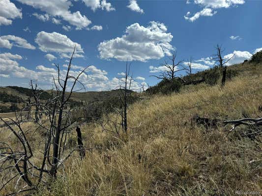 0 25TH TRAIL, COTOPAXI, CO 81223, photo 4 of 27