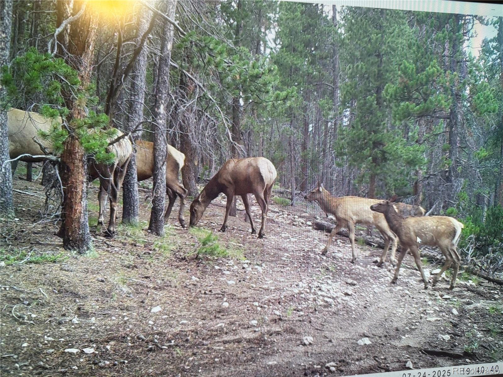 Black Hawk, Colorado, 80422, United States, 3 Bedrooms Bedrooms, ,1 BathroomBathrooms,Residential,Active,1945263