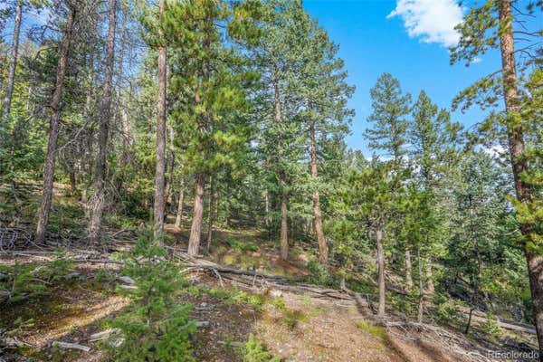 LOST CABIN TRAIL, EVERGREEN, CO 80439 - Image 1