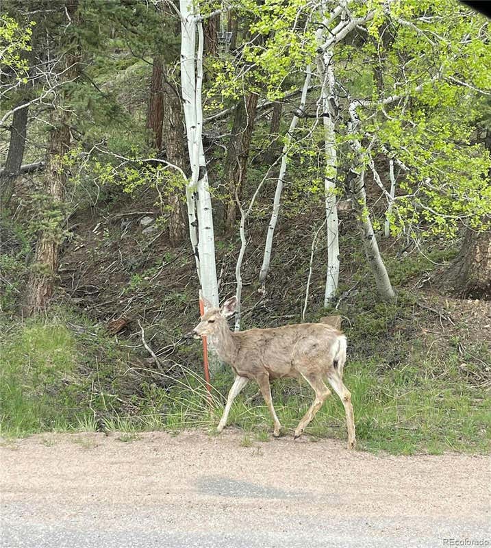 30862 PIKE VIEW DR, CONIFER, CO 80433, photo 1 of 3