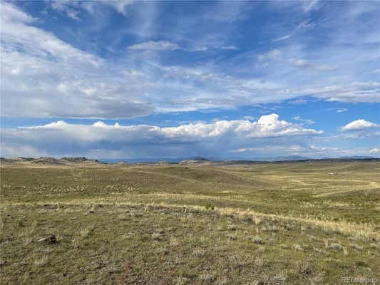 000 TAOS TRAIL, HARTSEL, CO 80449 - Image 1