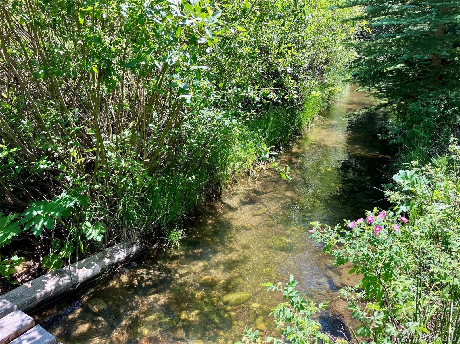 Silverthorne, Colorado, 80498, United States, ,3 BathroomsBathrooms,Residential,Active,1769500