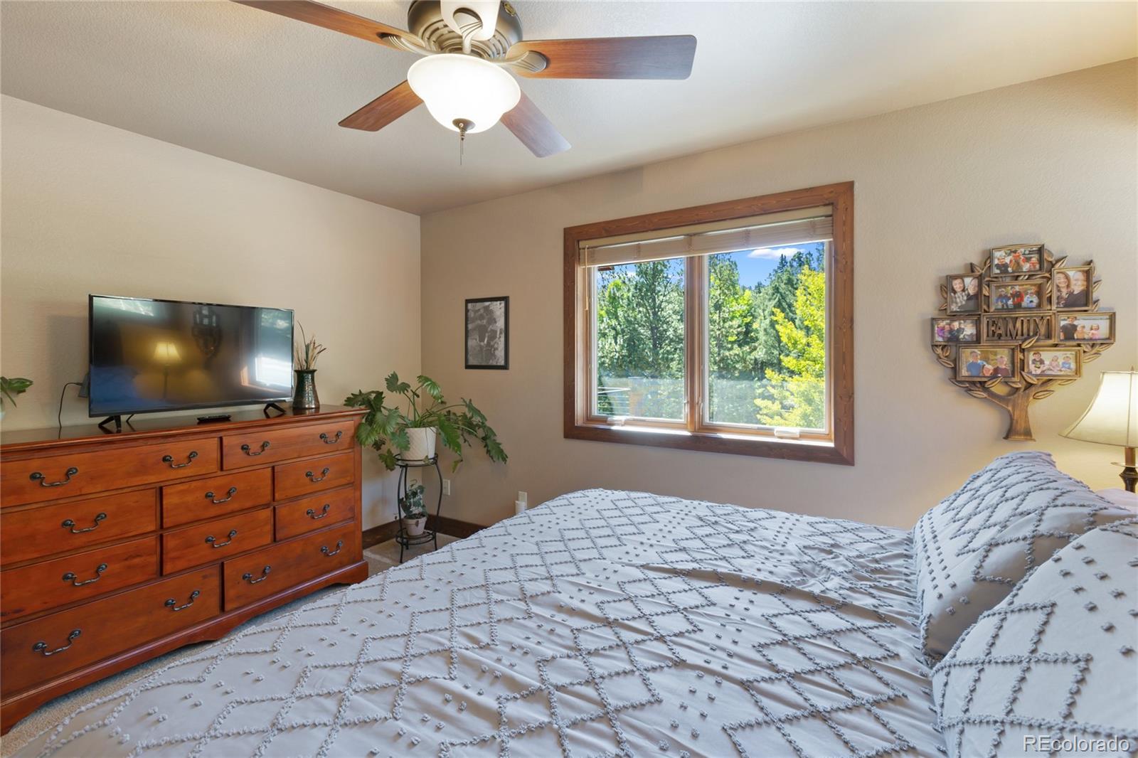 Florissant, Colorado, 80816, United States, 3 Bedrooms Bedrooms, ,3 BathroomsBathrooms,Residential,Active,1945362