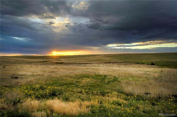 LOT 13 LAST DART ROAD, KIOWA, CO 80117 - Image 1