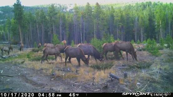 Black Hawk, Colorado, 80422, United States, 3 Bedrooms Bedrooms, ,1 BathroomBathrooms,Residential,Active,1945263