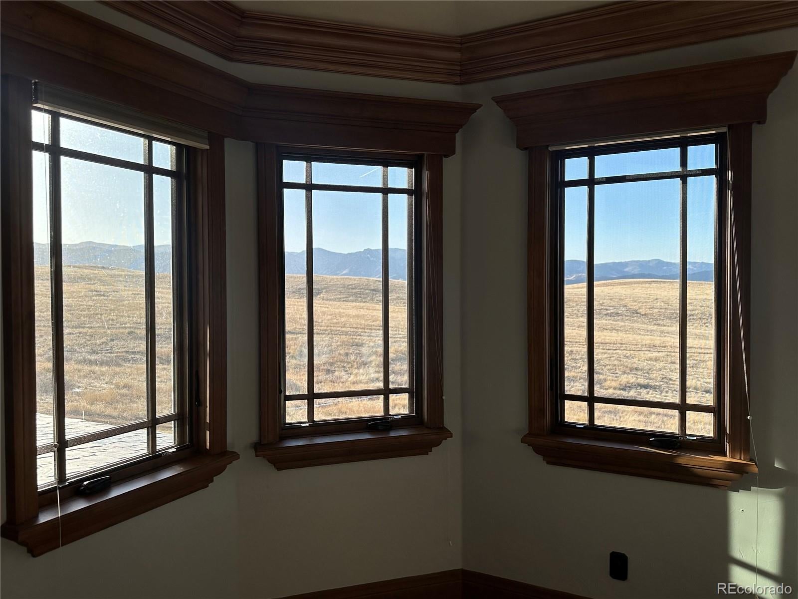 Littleton, Colorado, 80125, United States, ,7 BathroomsBathrooms,Residential,Active,1769795