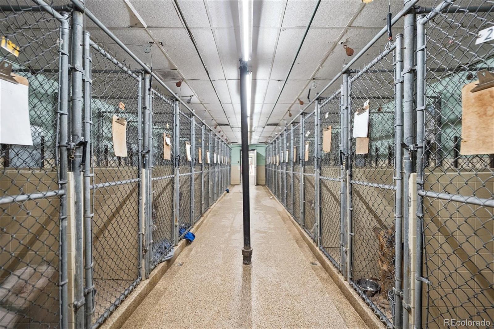 Lakewood, Colorado, 80227, United States, 3 Bedrooms Bedrooms, ,2 BathroomsBathrooms,Residential,Active,1952501