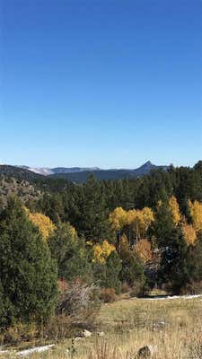 14745 WETTERHORN PEAK TRL, PINE, CO 80470, photo 3 of 4