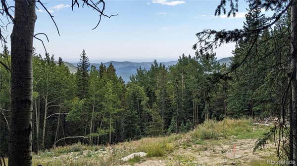 429 SAWMILL LN, IDAHO SPRINGS, CO 80452 - Image 1