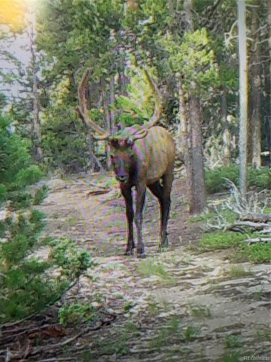 Black Hawk, Colorado, 80422, United States, 3 Bedrooms Bedrooms, ,1 BathroomBathrooms,Residential,Active,1945263