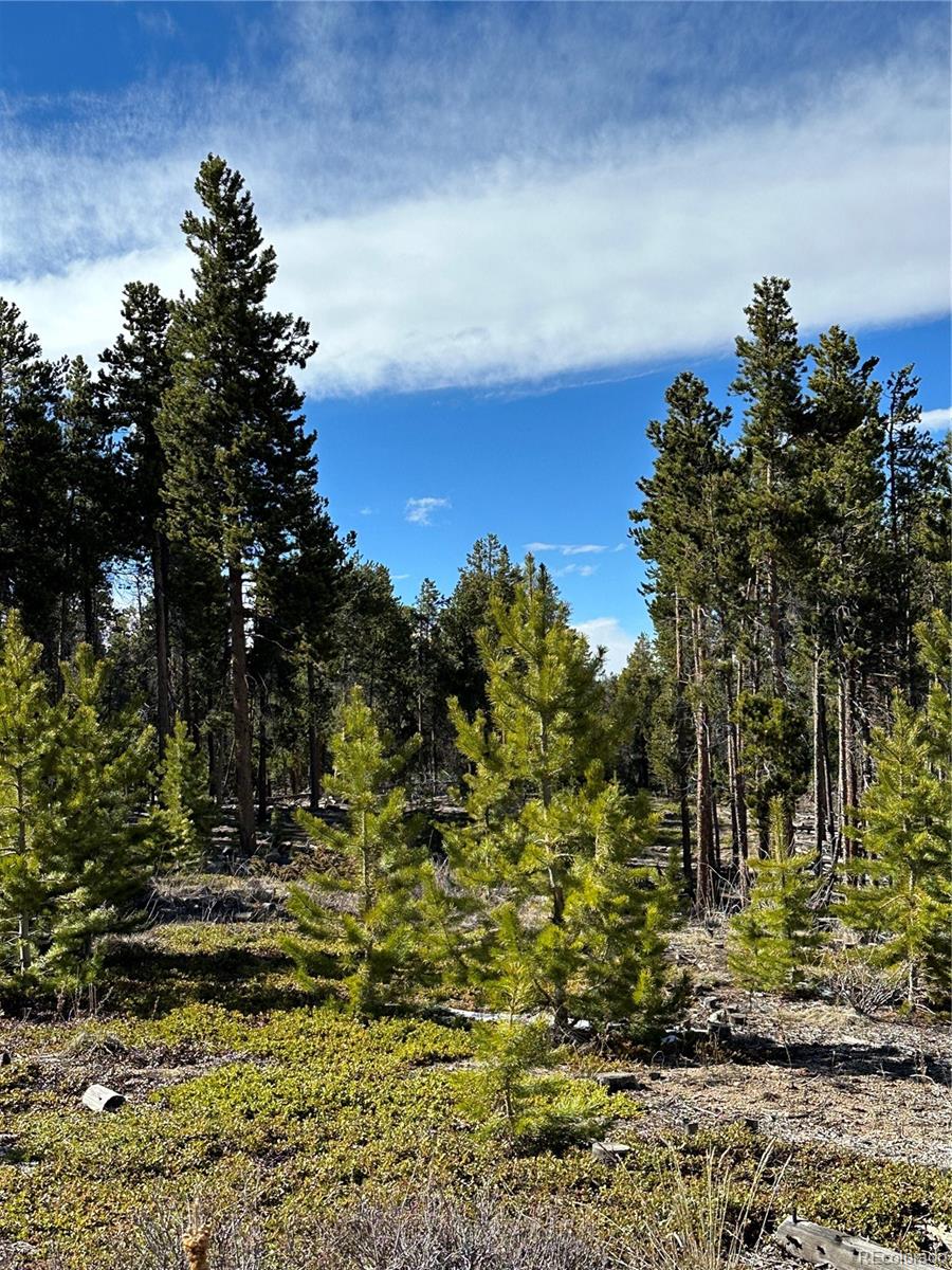 Black Hawk, Colorado, 80422, United States, 3 Bedrooms Bedrooms, ,1 BathroomBathrooms,Residential,Active,1945263