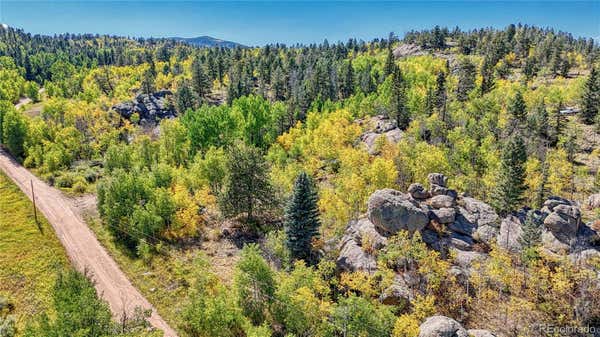 807 EAGLE ROCK ROAD, LAKE GEORGE, CO 80827 - Image 1