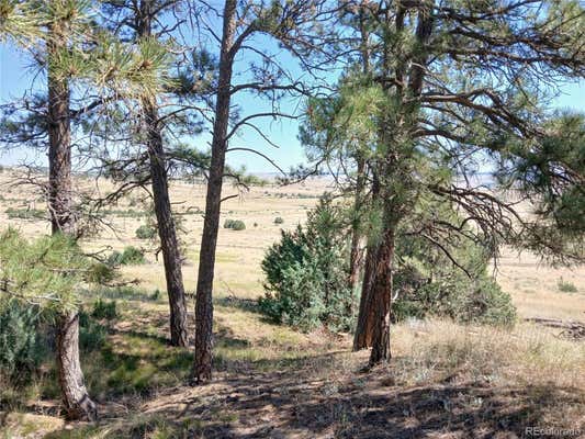 16550 PRIVATE ROAD 146 # PARCEL, KIOWA, CO 80117, photo 4 of 10