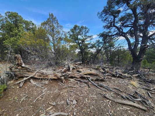 TR-47 35TH TRAIL, COTOPAXI, CO 81223 - Image 1