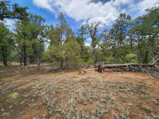 TR-44 I PATH, COTOPAXI, CO 81223 - Image 1