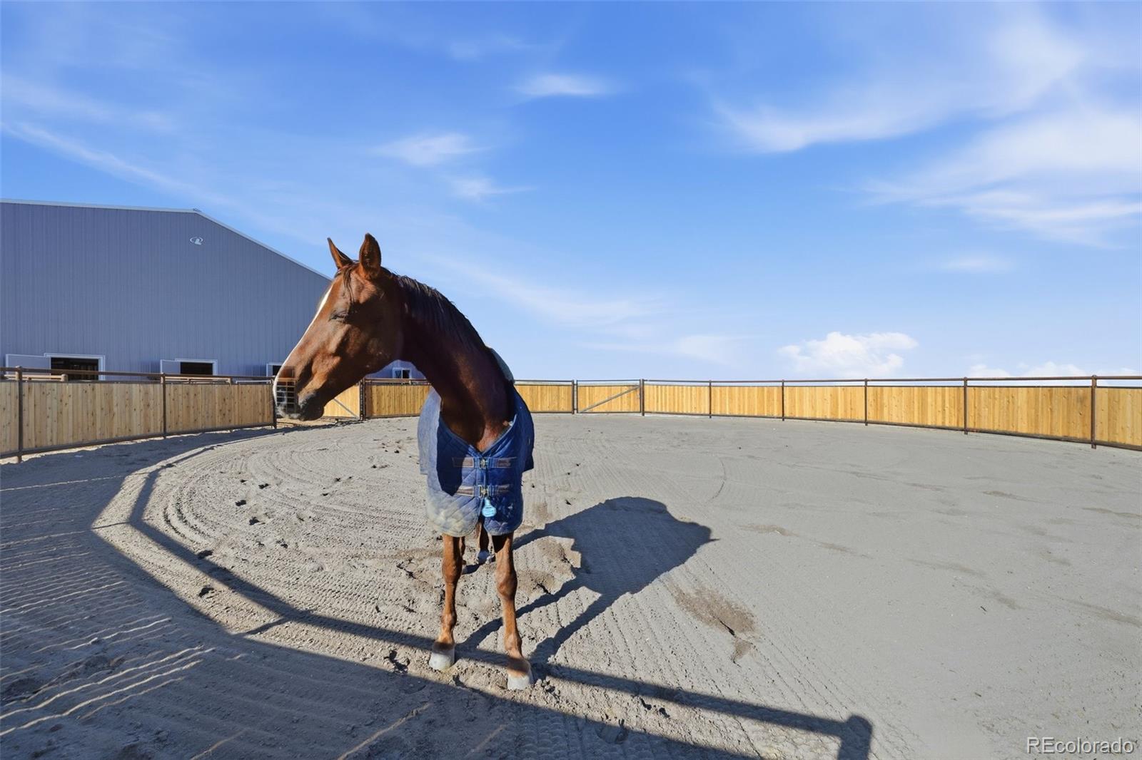 Parker, Colorado, 80138, United States, 5 Bedrooms Bedrooms, ,7 BathroomsBathrooms,Residential,Active,2013642