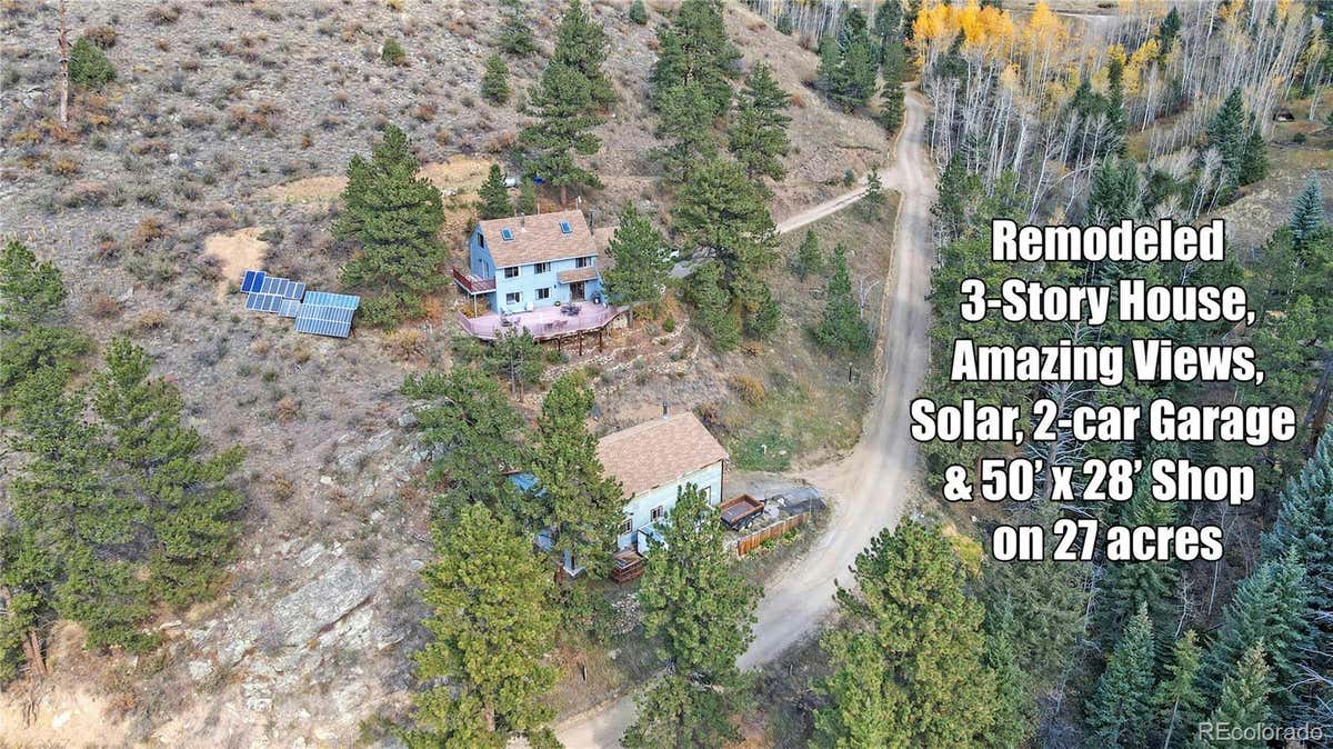 420 CHINOOK RD, IDAHO SPRINGS, CO 80452, photo 1 of 42