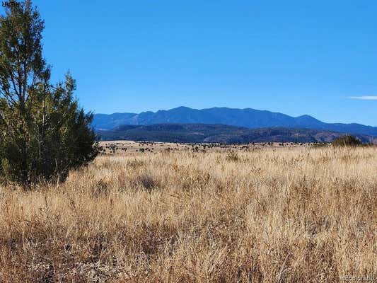 LOT 413 FAIRPLAY PLACE, COLORADO CITY, CO 81019 - Image 1