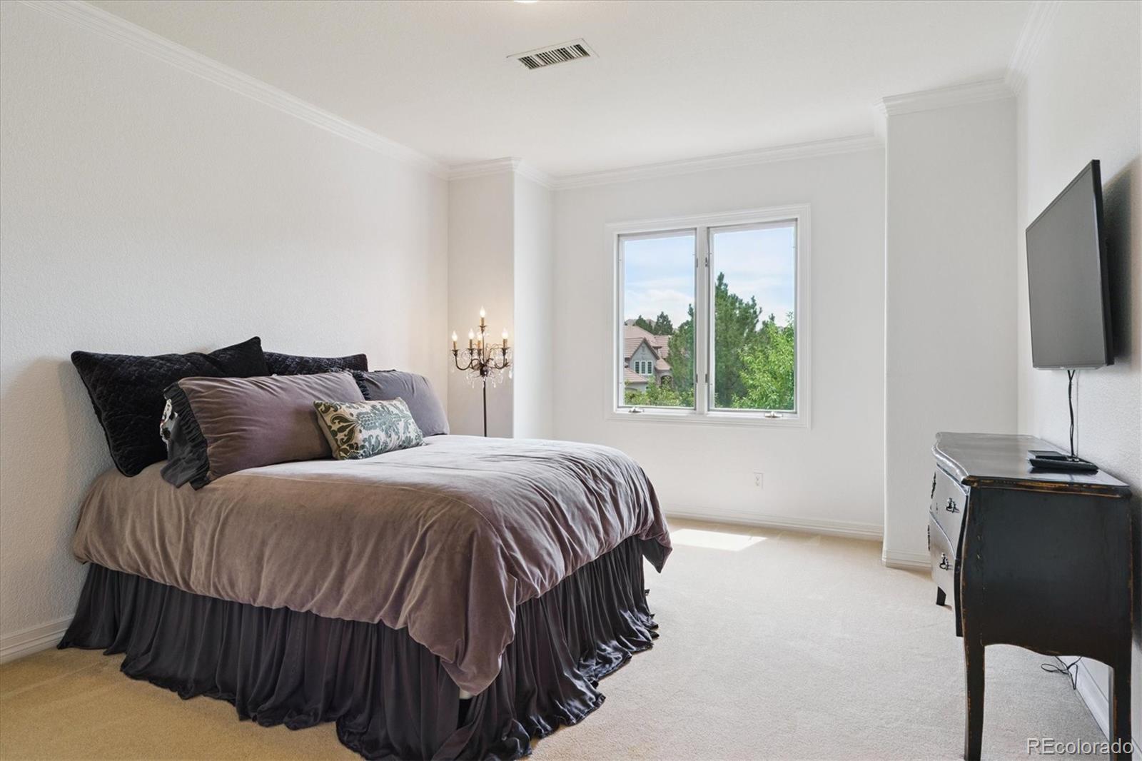 Lone Tree, Colorado, 80124, United States, 6 Bedrooms Bedrooms, ,5 BathroomsBathrooms,Residential,Active,1798134