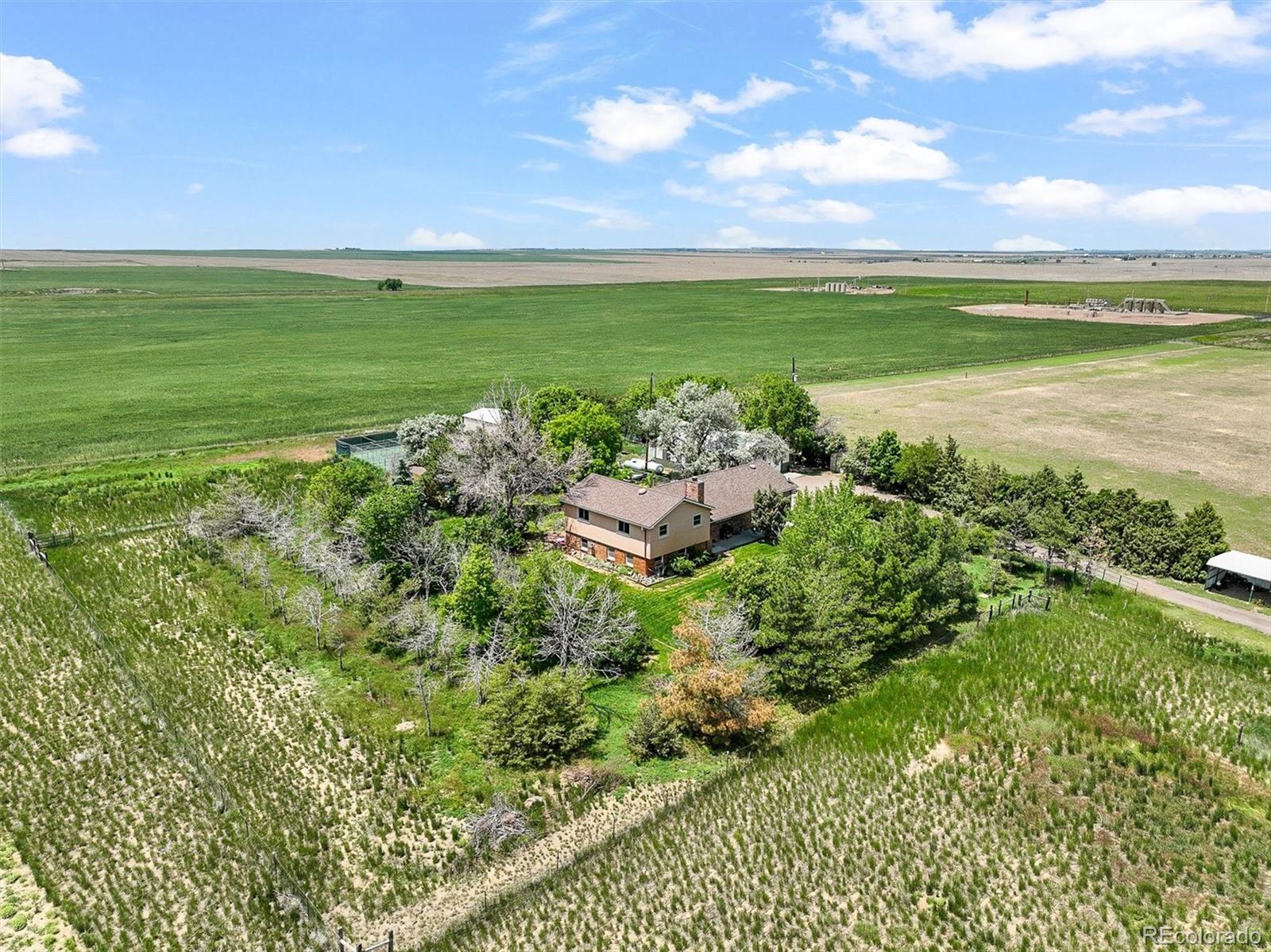 Watkins, Colorado, 80137, United States, 4 Bedrooms Bedrooms, ,3 BathroomsBathrooms,Residential,Active,2013169