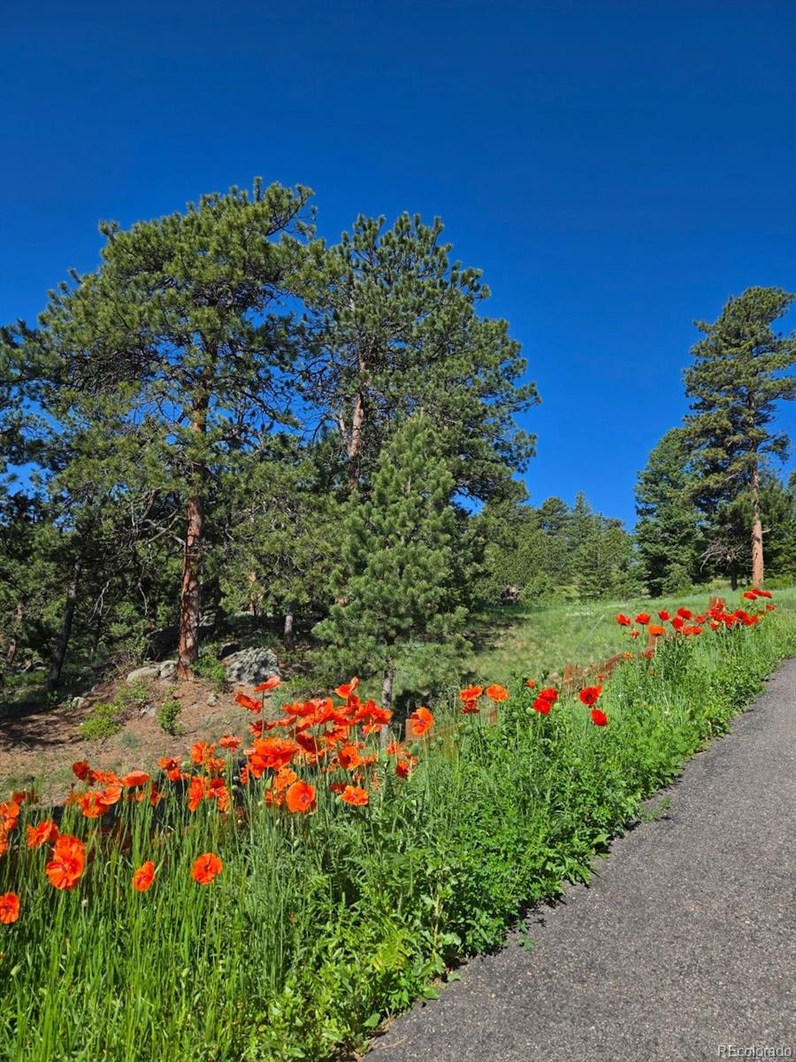 Boulder, Colorado, 80302, United States, 3 Bedrooms Bedrooms, ,3 BathroomsBathrooms,Residential,Active,1944050